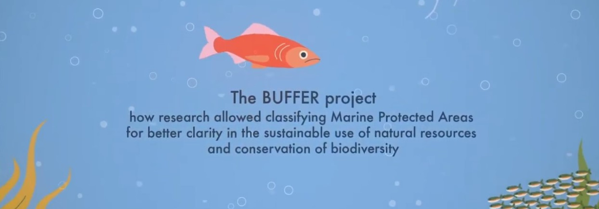 Generic representation of BUFFER project wins the 2nd BiodivERsA Prize for Excellence and Impact