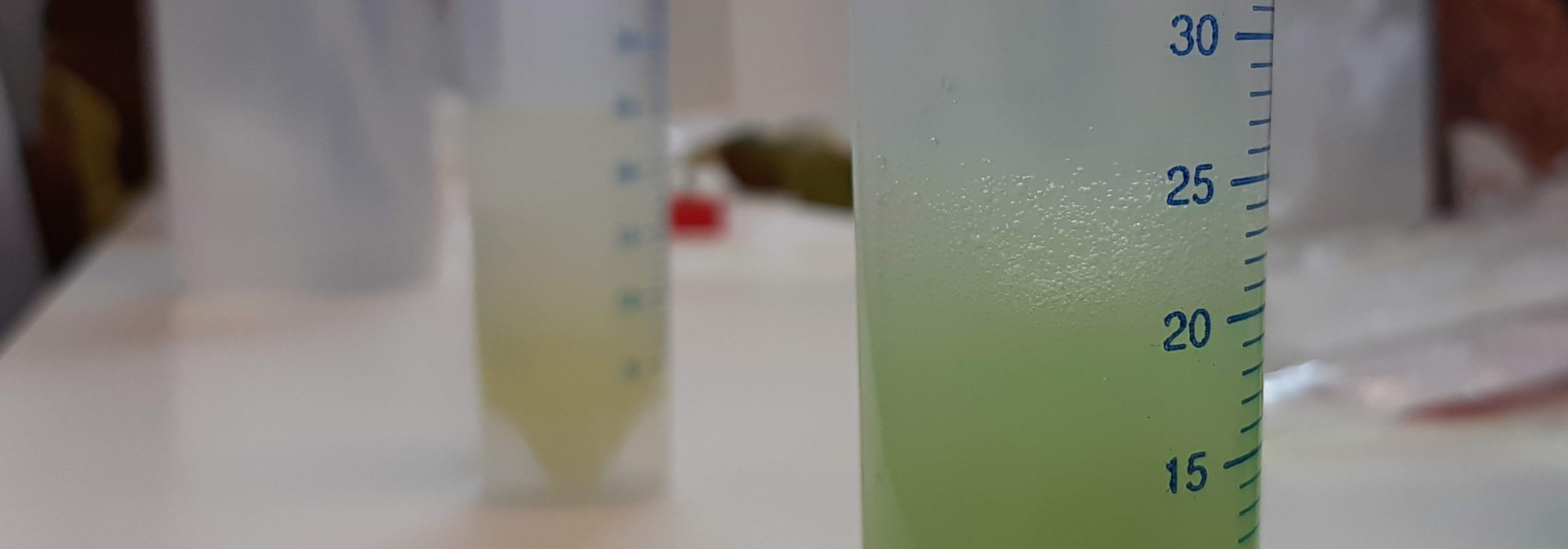 Generic representation of A week of holidays with a lot of science at CCMAR