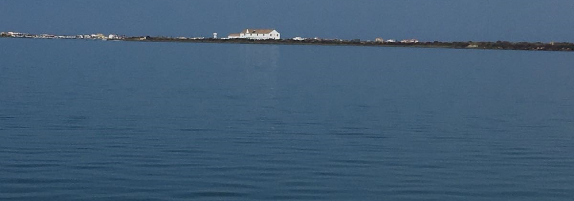 Generic representation of Ocean Sampling Day at CCMAR