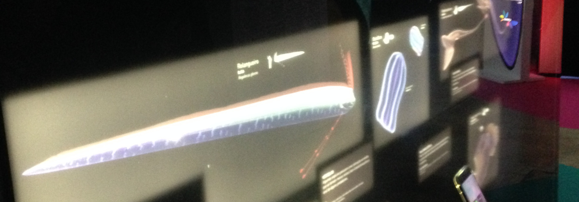 Generic representation of CCMAR participa como curador de exposição Luminar