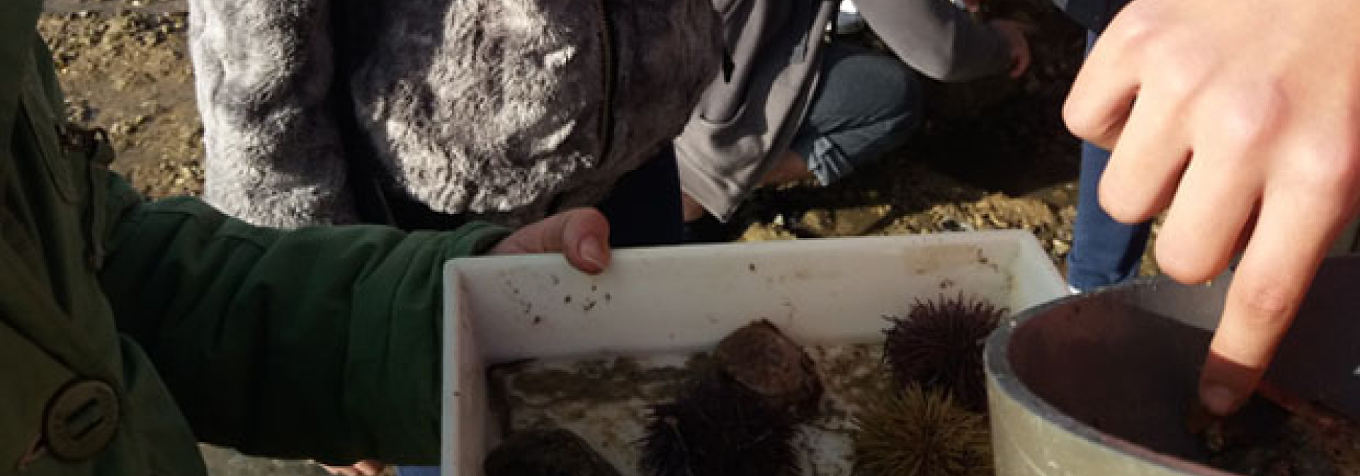 Generic representation of CCMAR promove saída de campo com alunos da Escola Joaquim Magalhães