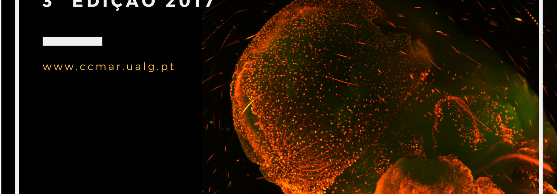 Generic representation of Concurso Aos Olhos do CCMAR 2017 - 3ª edição