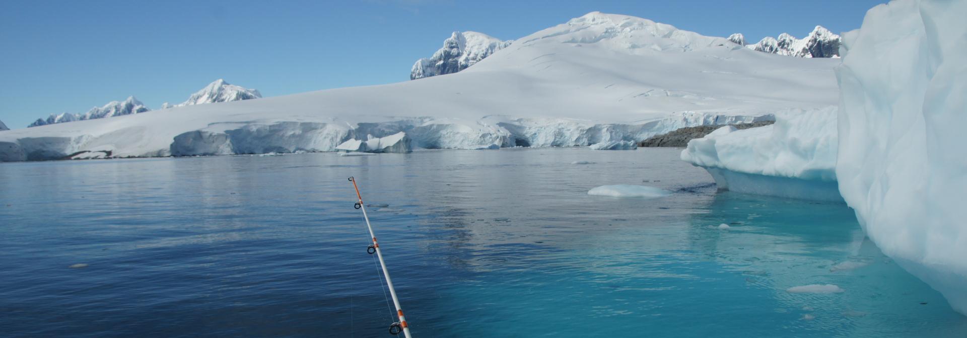 Generic representation of CCMAR marca presença na 9ª Conferência nacional das Ciências Polares