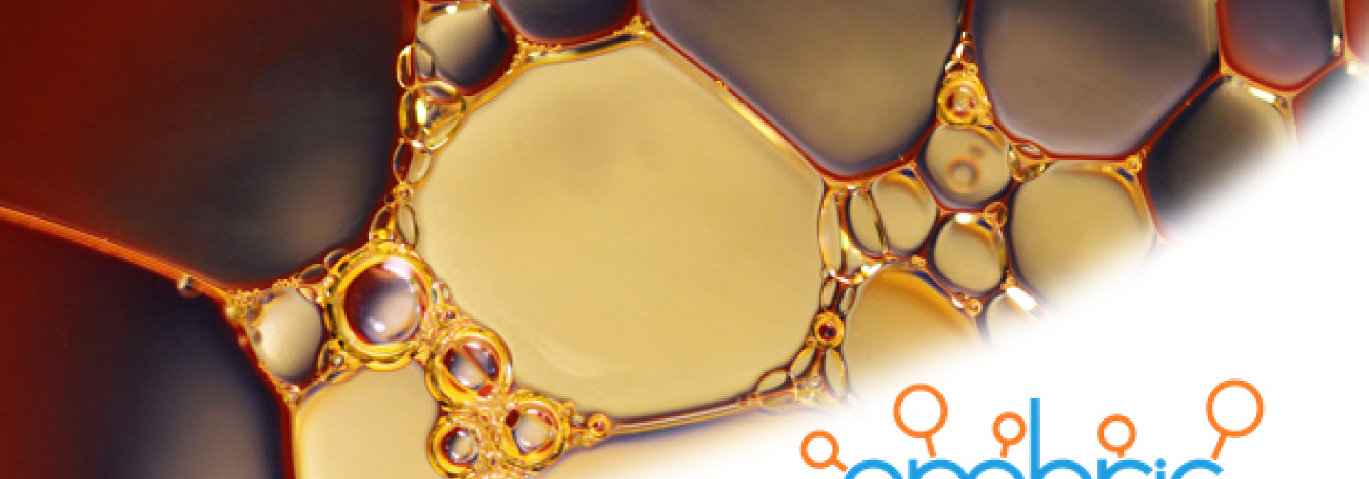 Generic representation of Política para a Biotecnologia Marinha apresentada em Faro