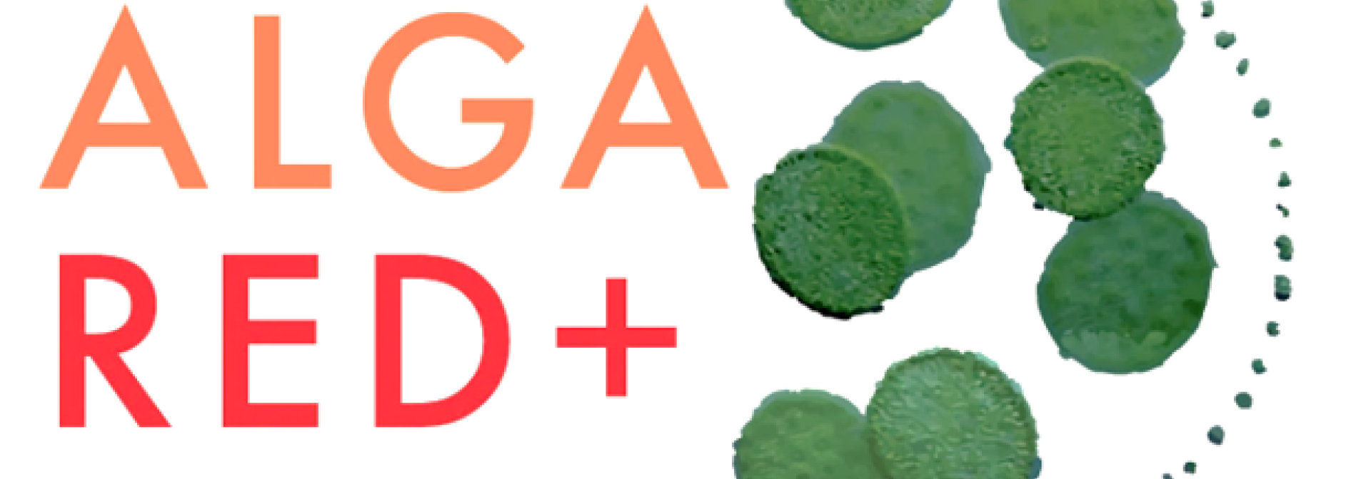 Generic representation of Especialistas do CCMAR vão otimizar produção e utilização de microalgas