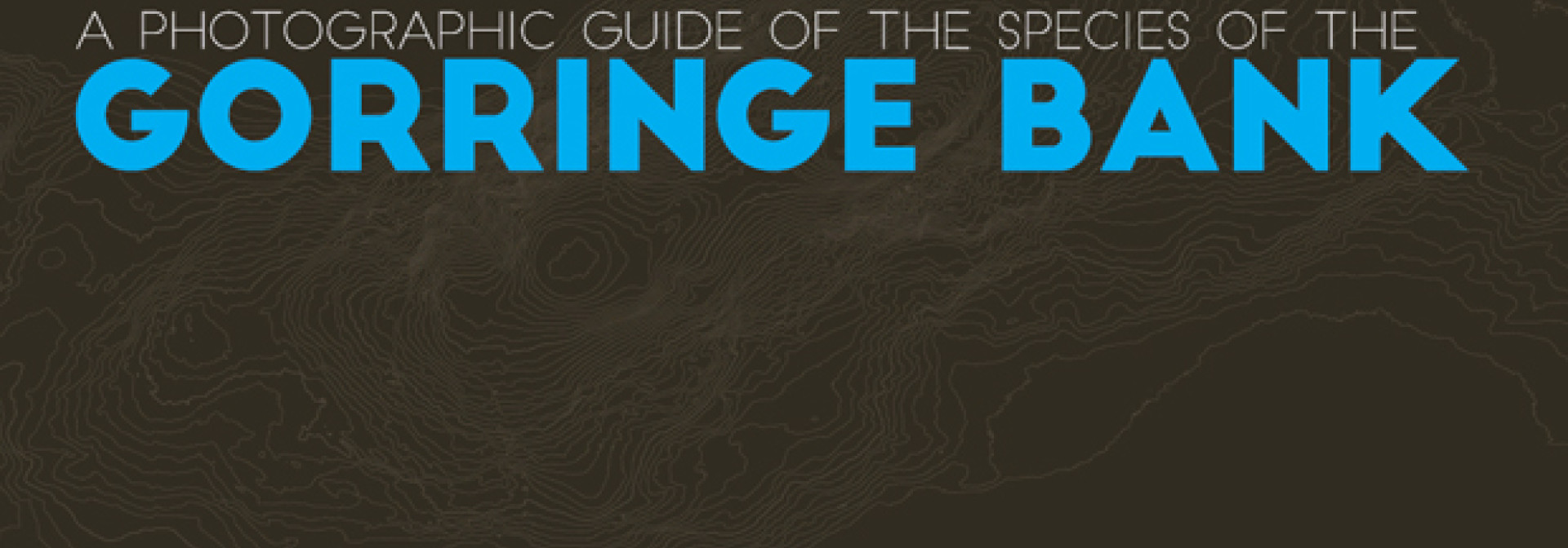 Generic representation of CCMAR lança Guia fotográfico de espécies do Banco de Gorringe