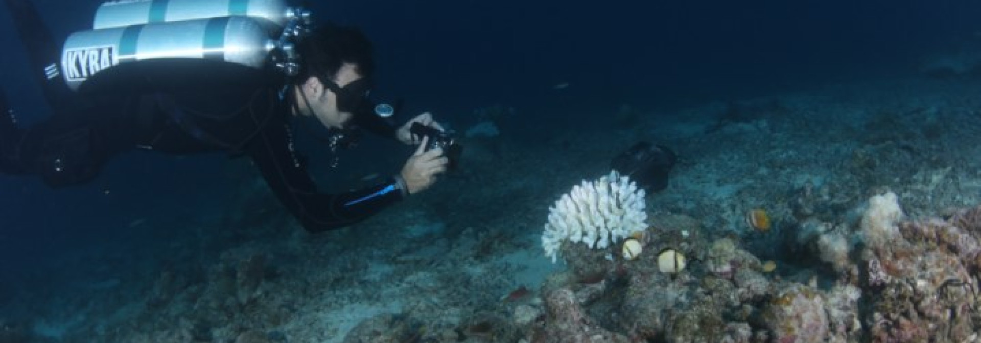 Foto: Jornal Público | Pedro Rodrigues Frade fez parte da equipa que monitorizou o branqueamento de corais na Grande Barreira de Coral