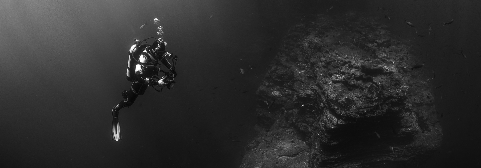 Generic representation of O mergulho científico do CCMAR em destaque no programa Bombordo