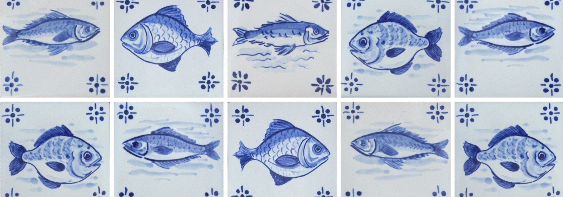 Generic representation of IAFSB 2015: 4th Conference “Interdisciplinary Approaches in Fish Skeletal Biology”