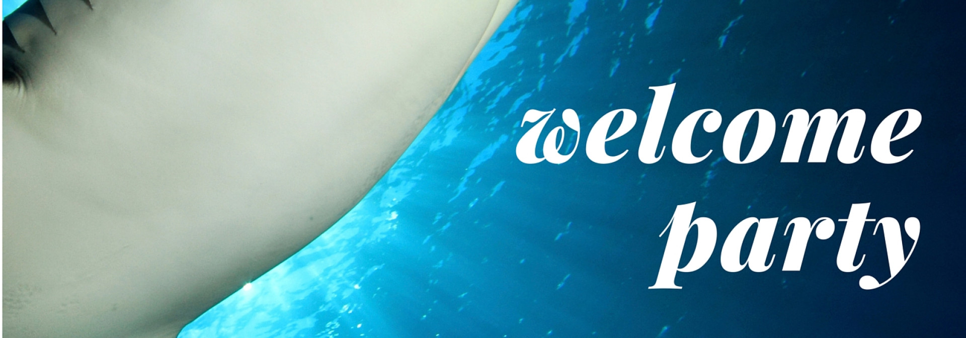 Generic representation of Get together CCMAR / Welcome party