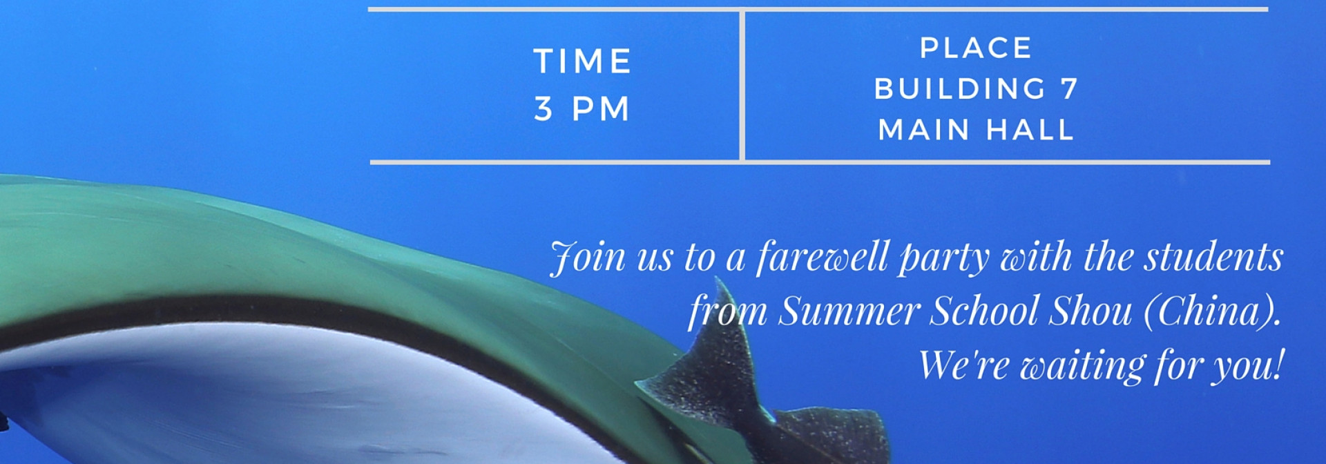 Generic representation of Get together CCMAR / Farewell party