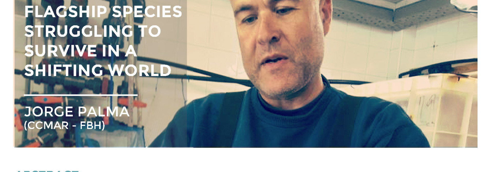 Generic representation of Seahorses:  Flagship species struggling to  survive in a  shifting world