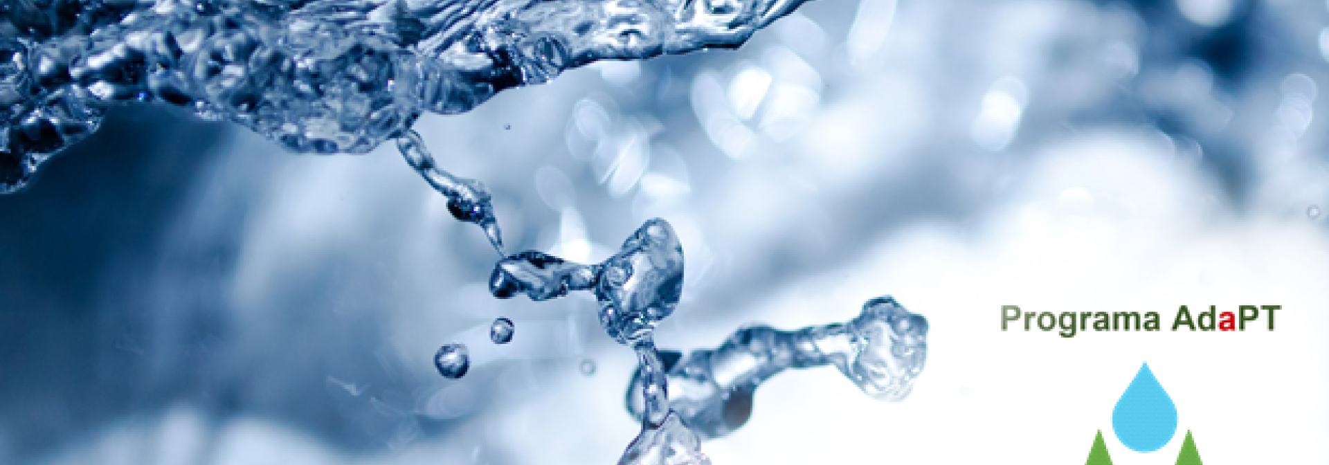 Generic representation of Sessão final de divulgação de resultados Workshop Água e Biodiversidade - SOWAMO