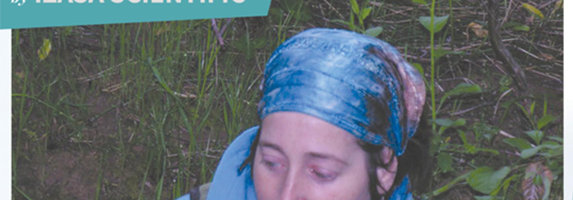 Generic representation of Comparison between the infralittoral-sublittoral macroinfauna of high-impact, medium-impact and non-impact beaches on the Gulf of Cádiz coast (SW Spain)