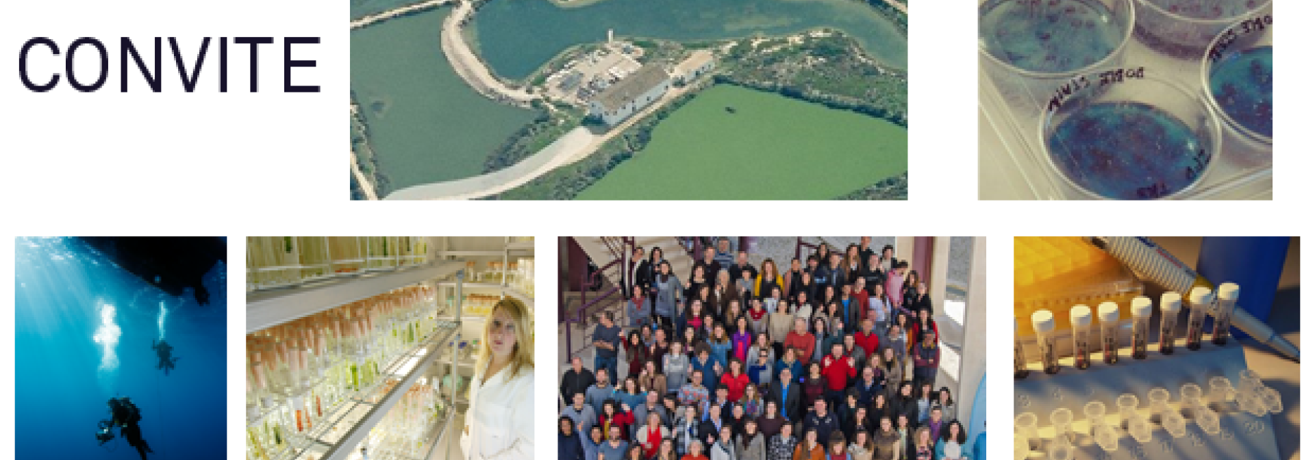 Generic representation of Novos impulsos à economia do Algarve: a ciência do CCMAR ao serviço do tecido empresarial