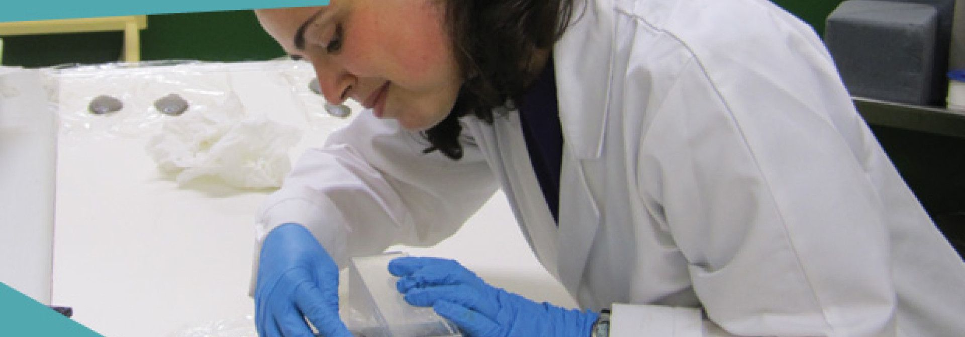 Generic representation of CCMAR Seminars: Skeletal anomalies in teleosts: the case of Senegalese sole