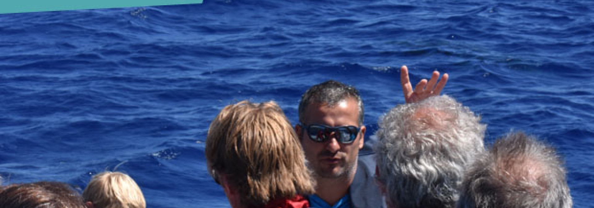 Generic representation of Azorean whale watching: an opportunistic platform to study cetaceans in the wild