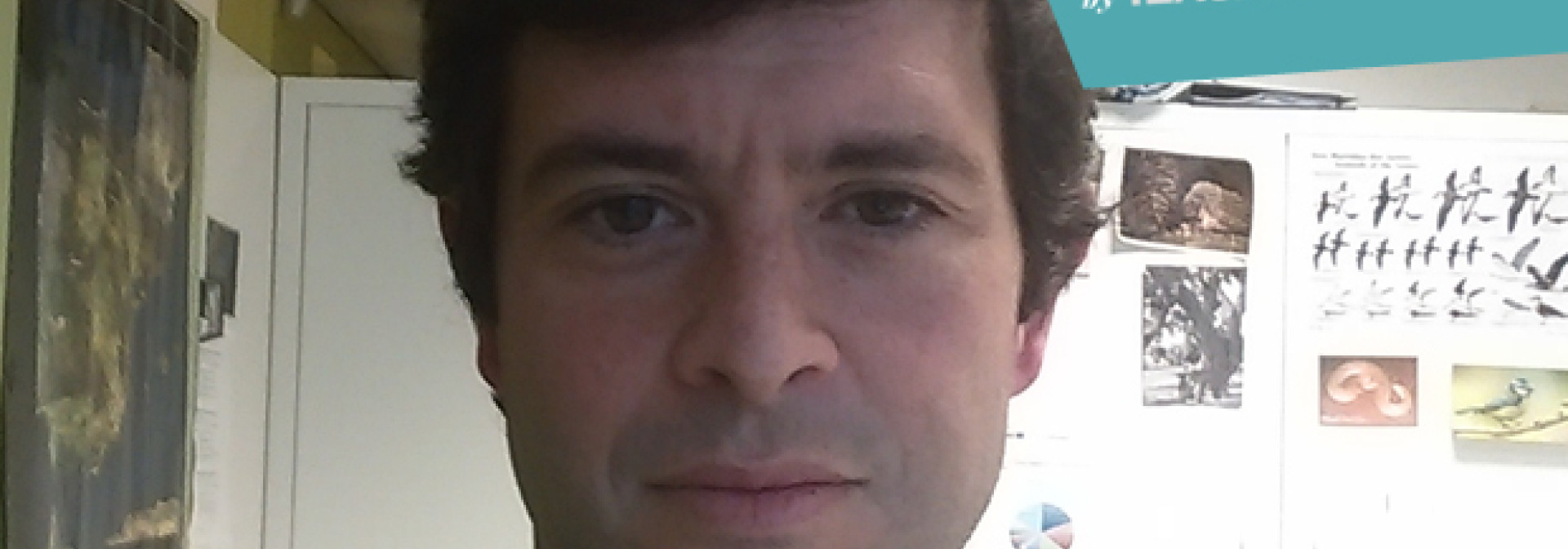 Generic representation of Utilization of genetic resources - rights and obligations of users