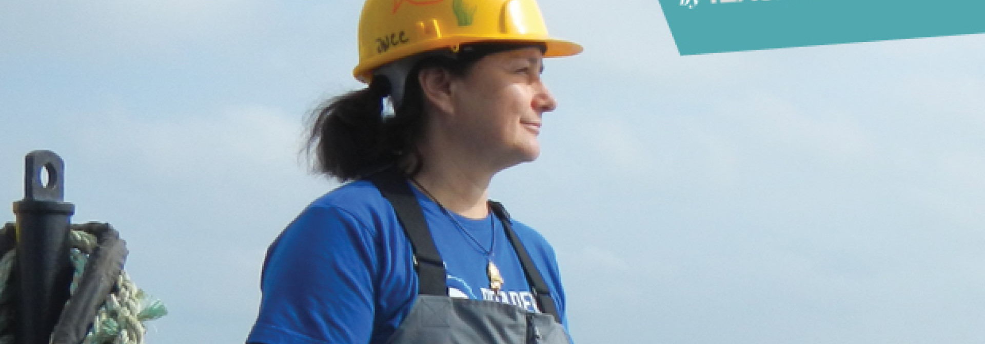 Generic representation of Providing conservation advice on offshore marine protected areas (MPAs)