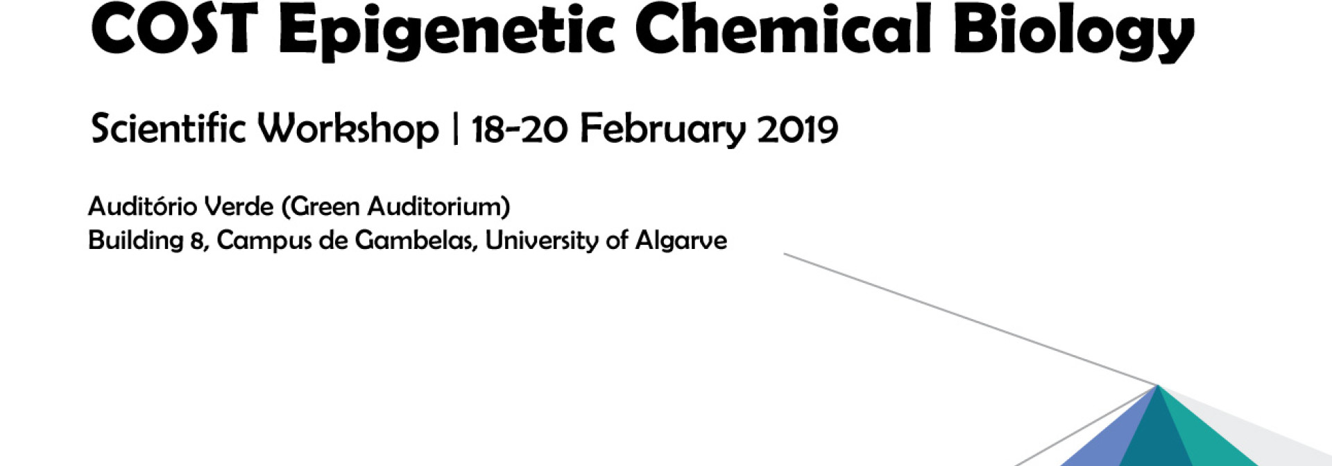 Generic representation of Epigenetic Chemical Biology COST Scientific Workshop