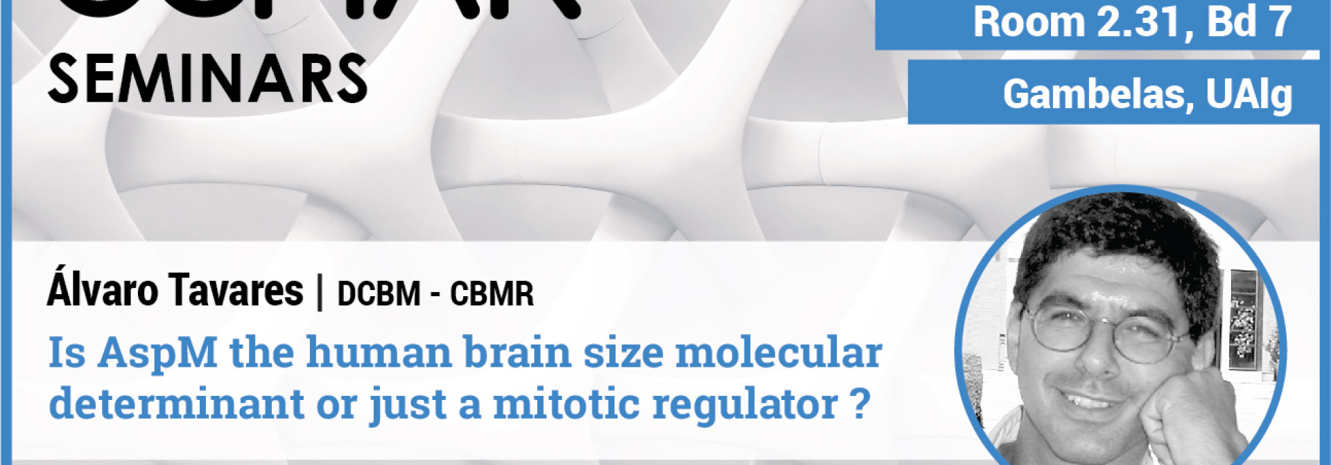 Generic representation of Is ASPM the human brain size molecular determinant or just a mitotic regulator?
