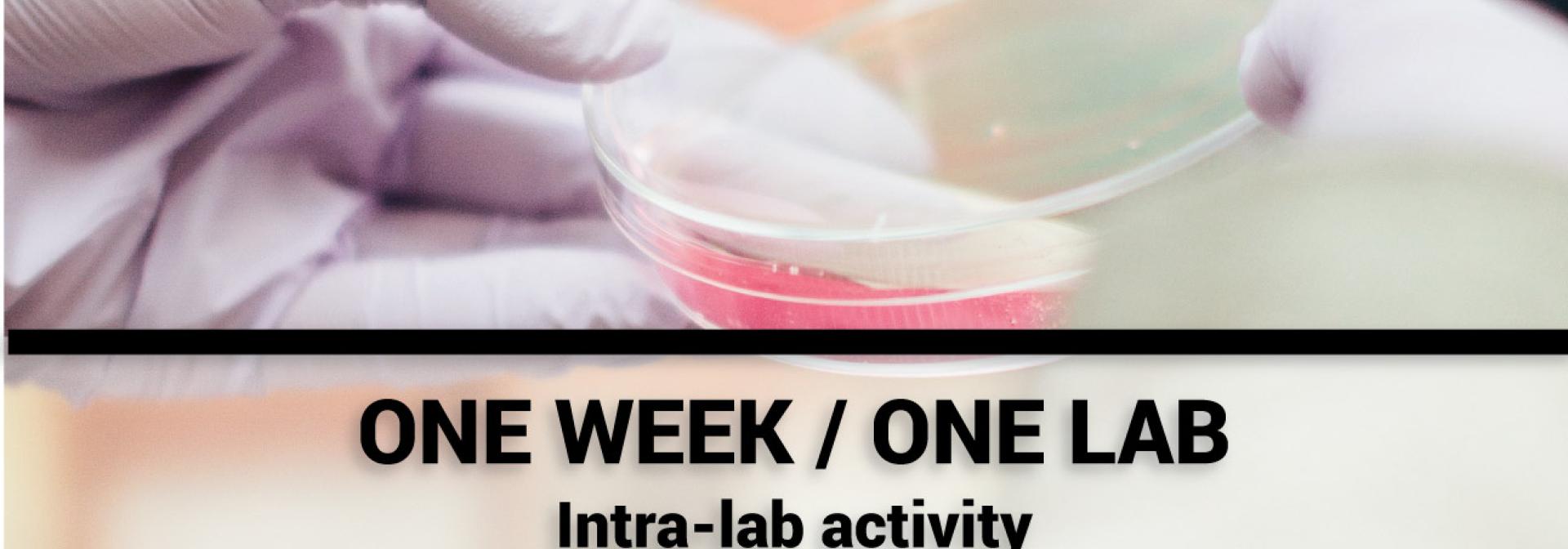 Generic representation of One Week / One Lab - Cellular and Inorganic Biochemistry Lab