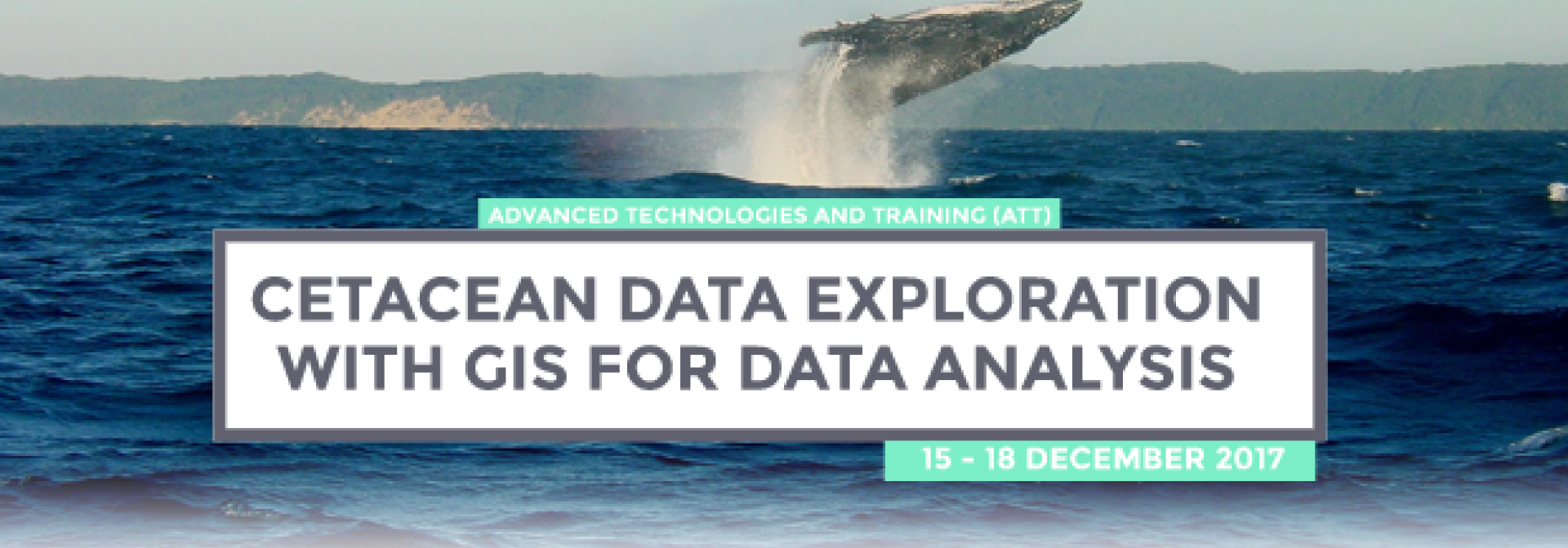 Generic representation of Cetacean data exploration with GIS data analysis