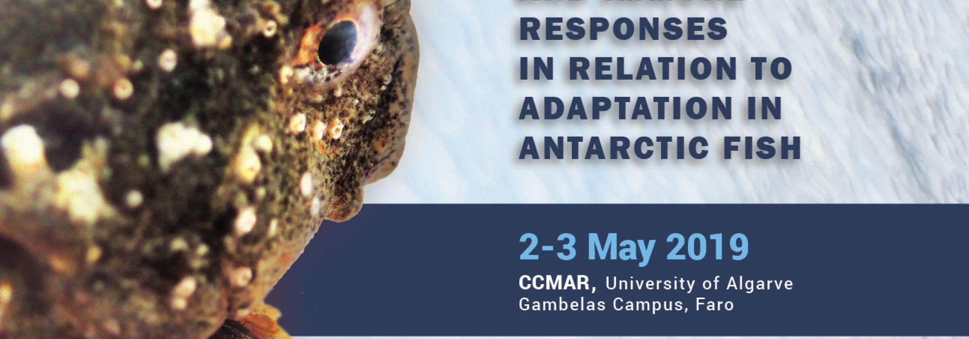 Generic representation of Workshop “Stress and immune responses in relation to adaptation in Antarctic Fish”