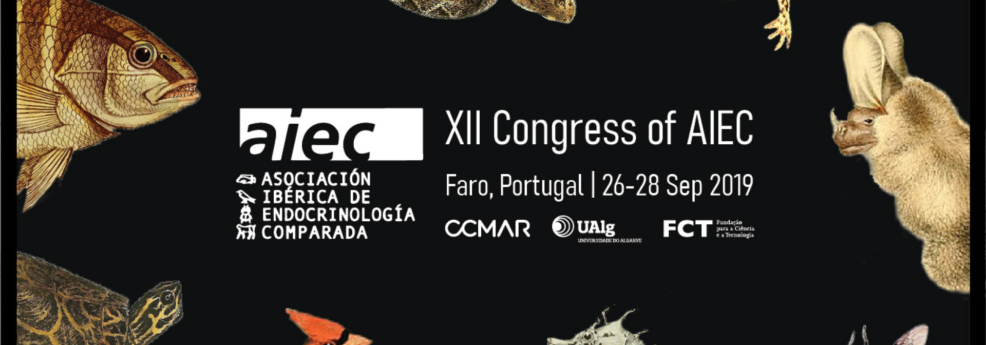 Generic representation of 12th Congress of the Iberian Association for Comparative Endocrinologists