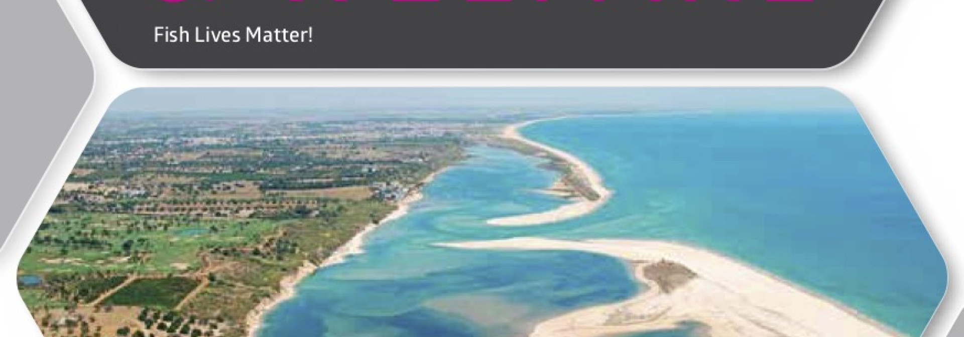 Generic representation of 3rd Edition of Summer Shoal 2019 on Fish Ethology &amp; Welfare