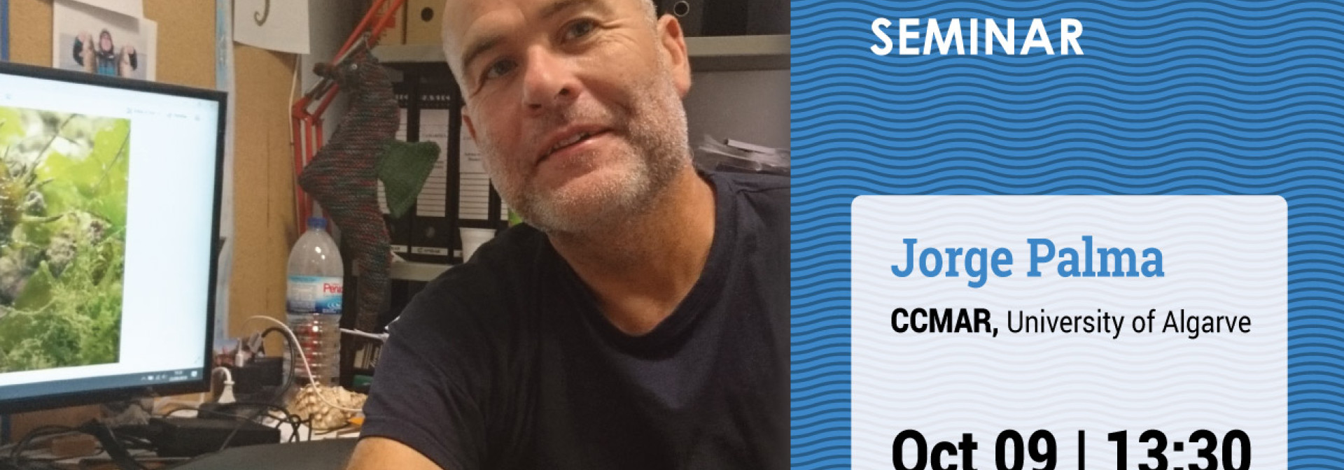 Generic representation of Seahorse ecology and conservation