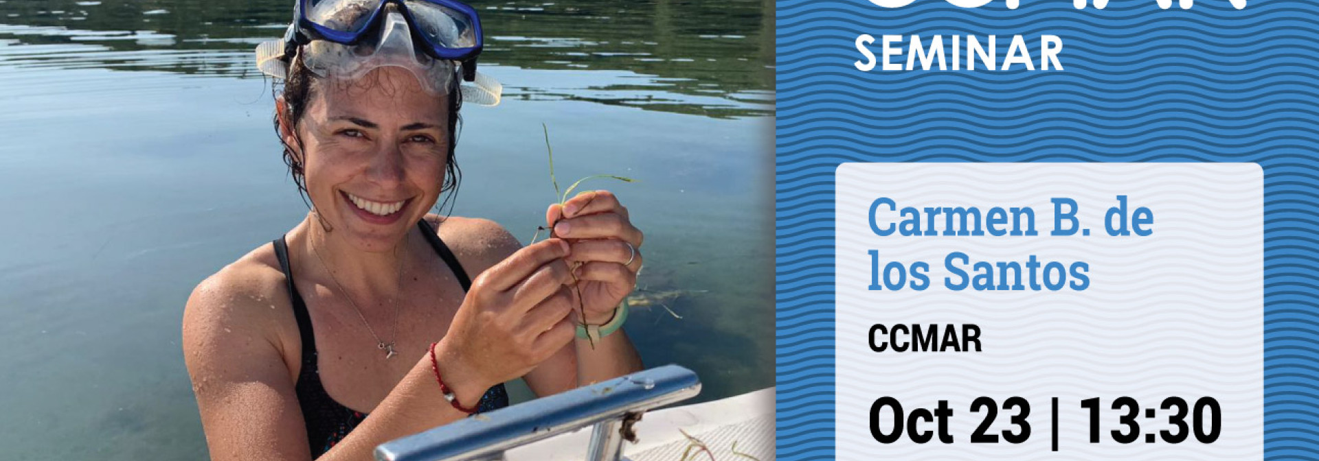 Generic representation of Recent trend reversal for declining European seagrass meadows