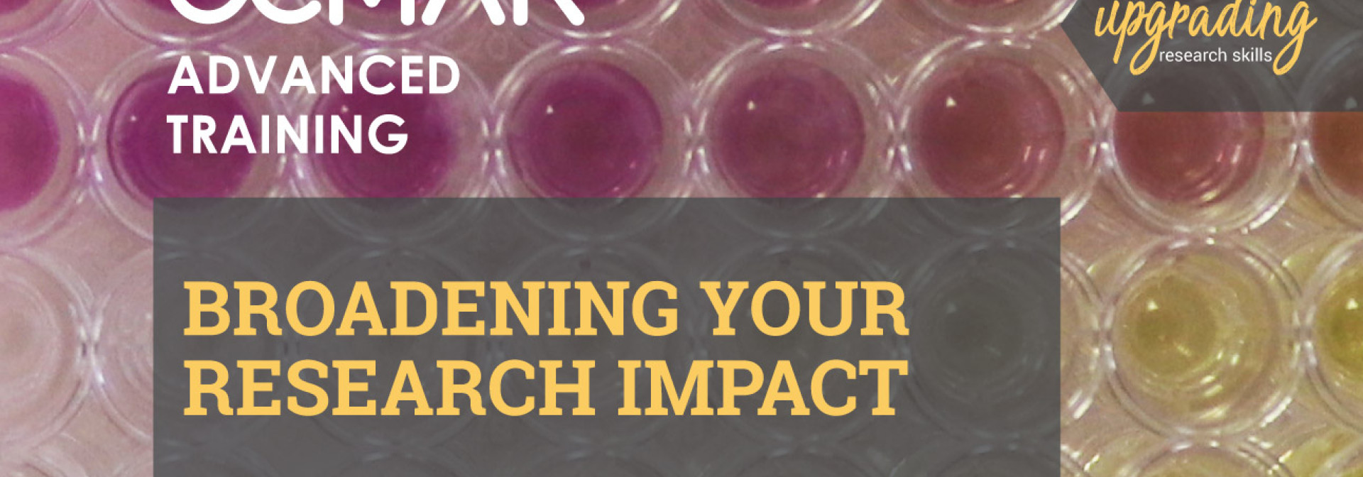 Generic representation of Broadening your research impact