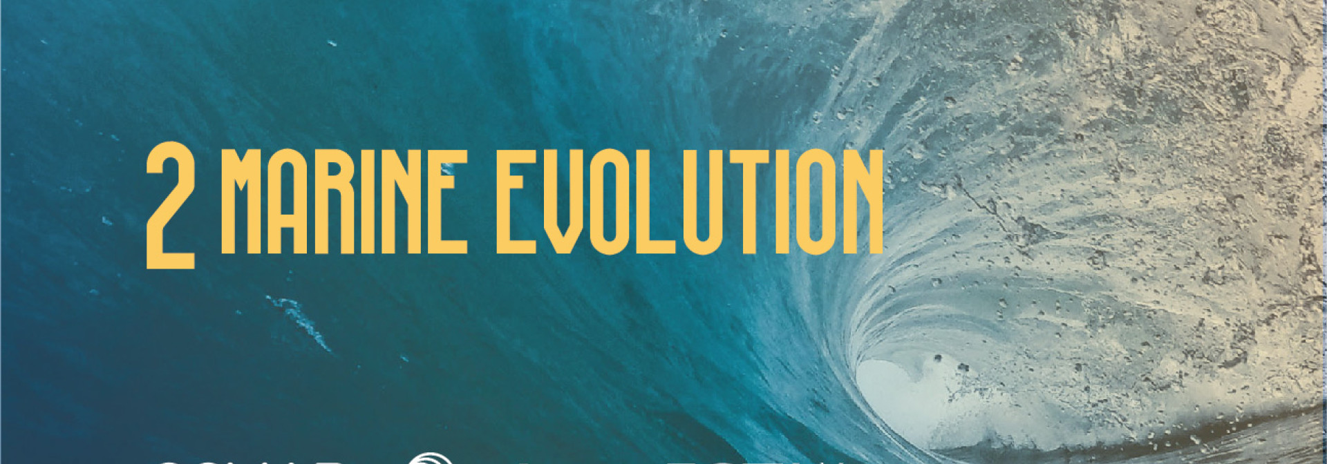 Generic representation of Marine Evolution 2 (Postponed)
