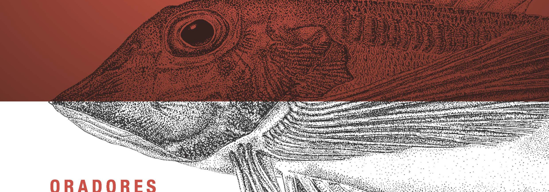 Generic representation of XVII Congress of the Portuguese Society of Ethology (SPE)