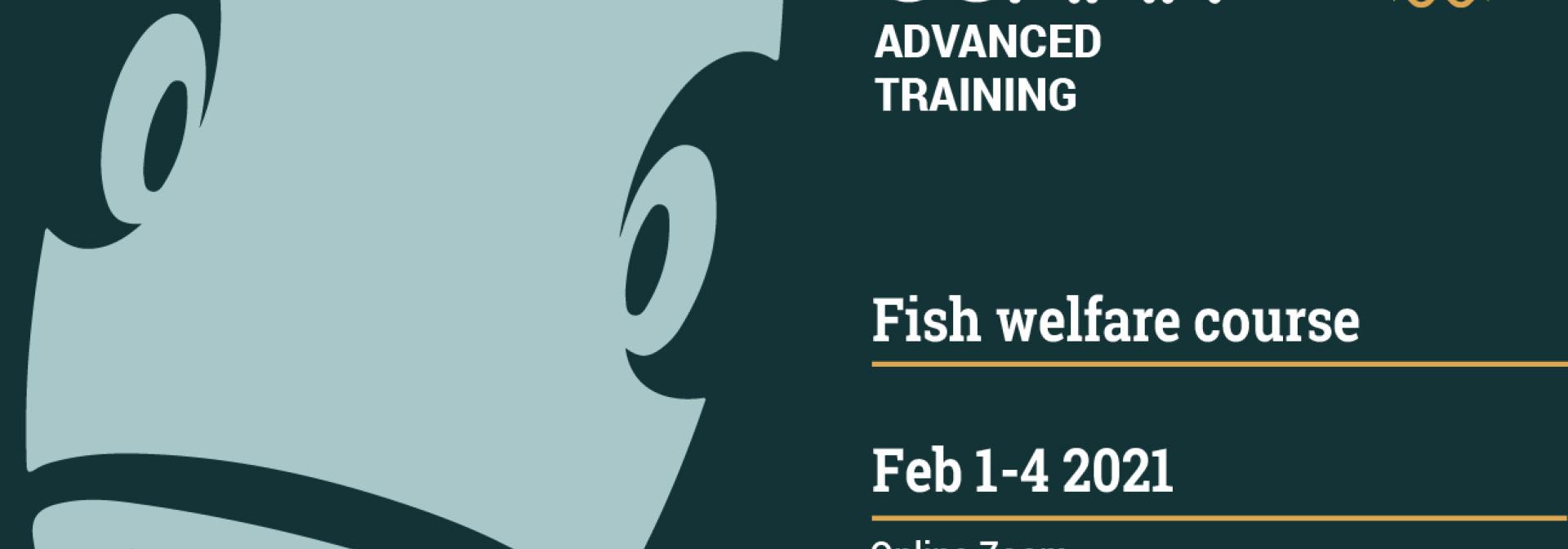 Generic representation of Fish Welfare Online Course