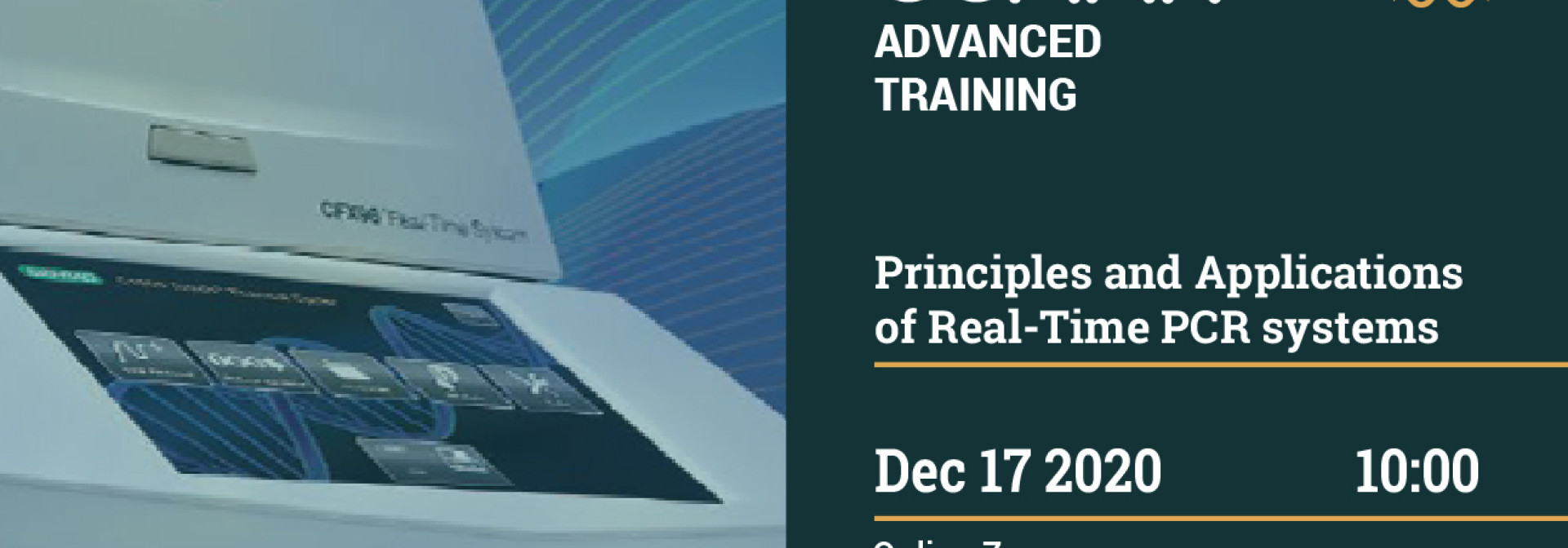 Generic representation of Principles and Aplications of Real Time PCR systems