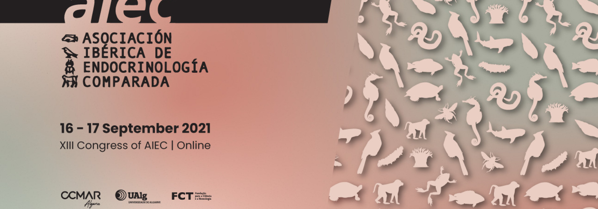 Generic representation of XIII Congress of the Iberian Association of Comparative Endocrinology - AIEC (online)