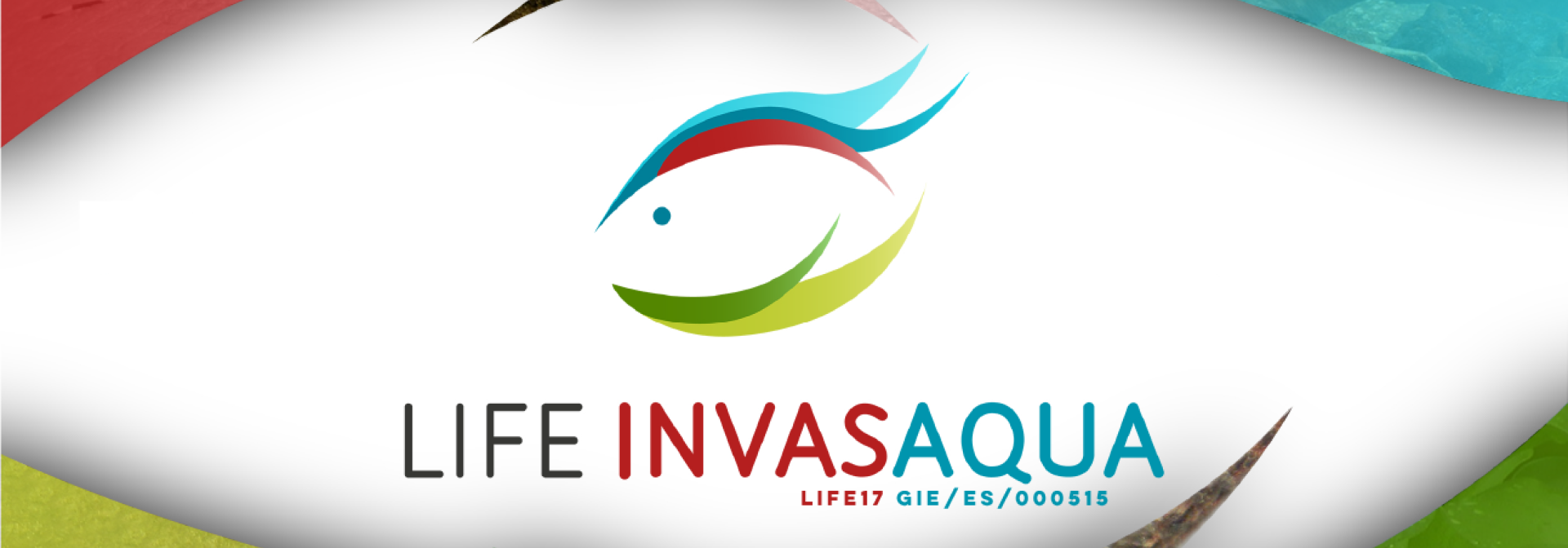 Generic representation of Workshop Espécies Invasoras Aquáticas LIFE-INVASAQUA