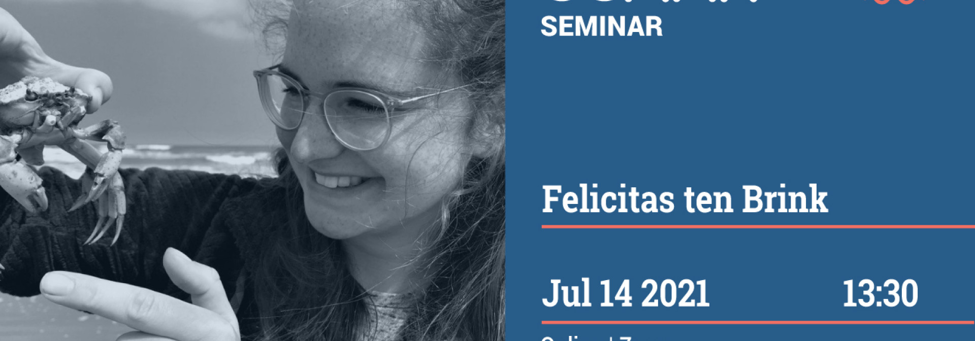 Generic representation of Microplastics ingestion in marine organisms - looking for the invisible