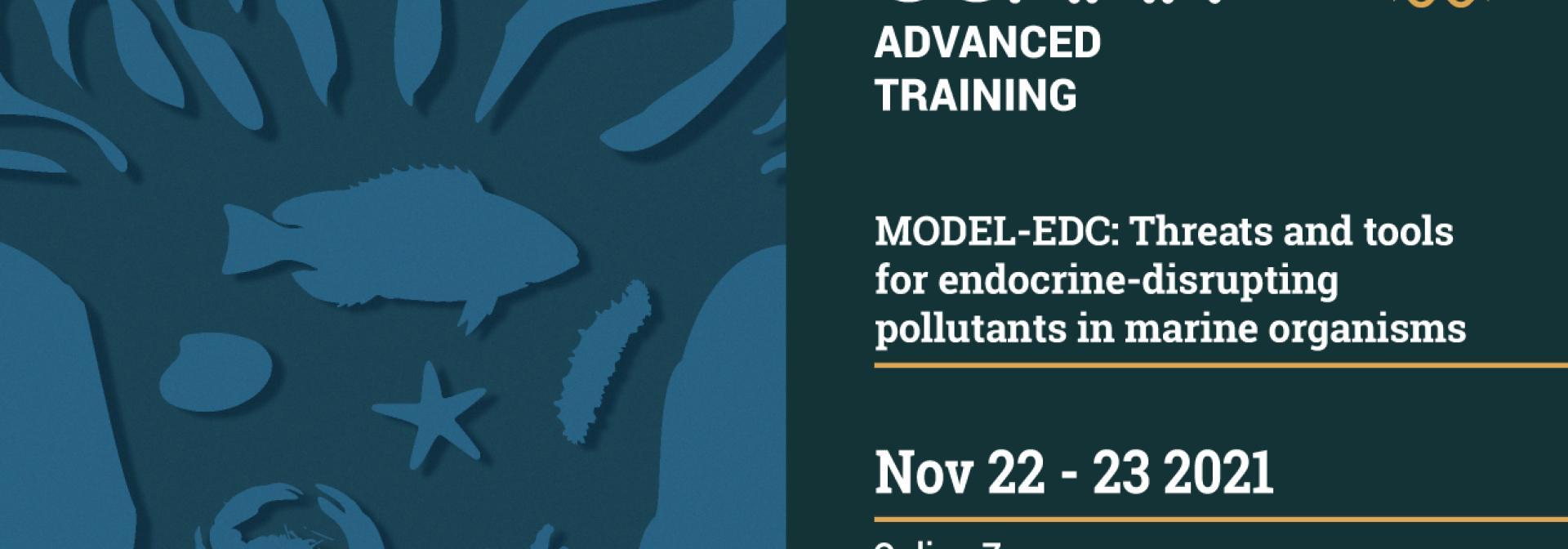 Generic representation of MODEL-EDC - Workshop