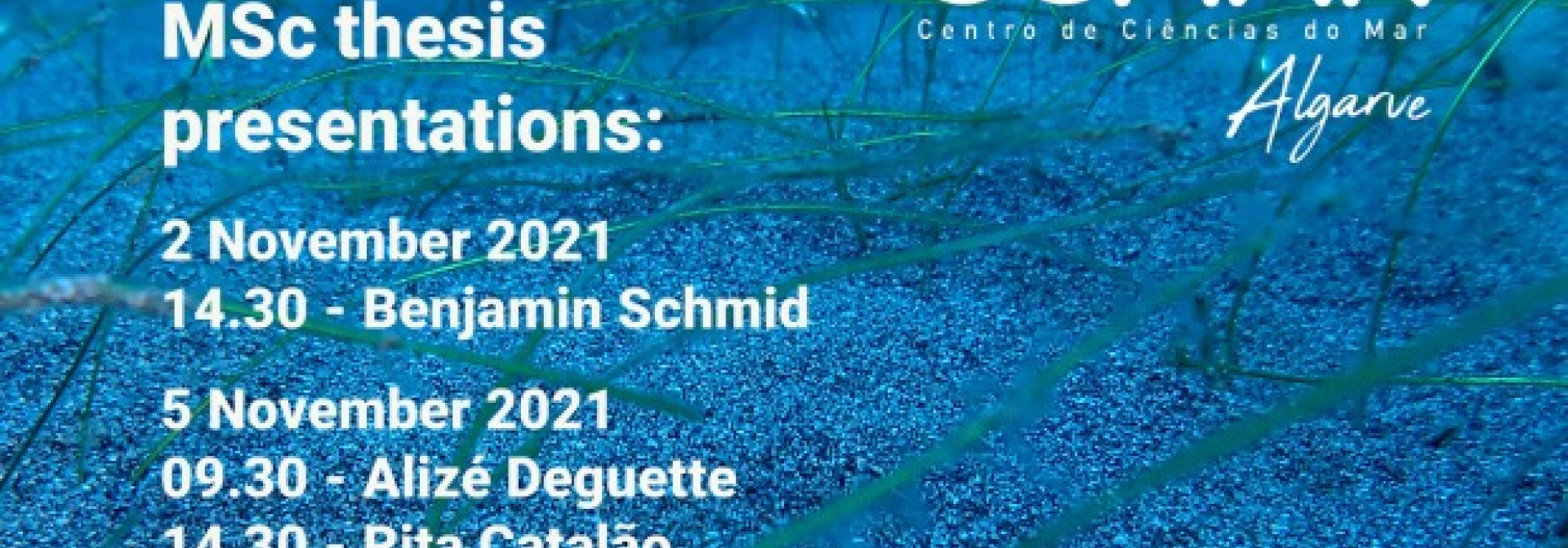 Generic representation of MSc Thesis Presentations