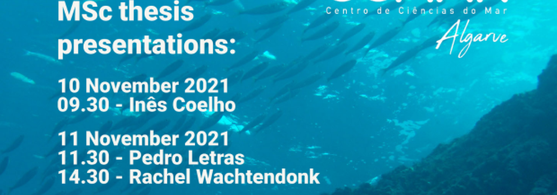 Generic representation of MSc Thesis Presentations