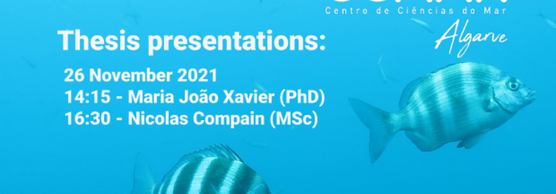 Generic representation of Thesis Presentations