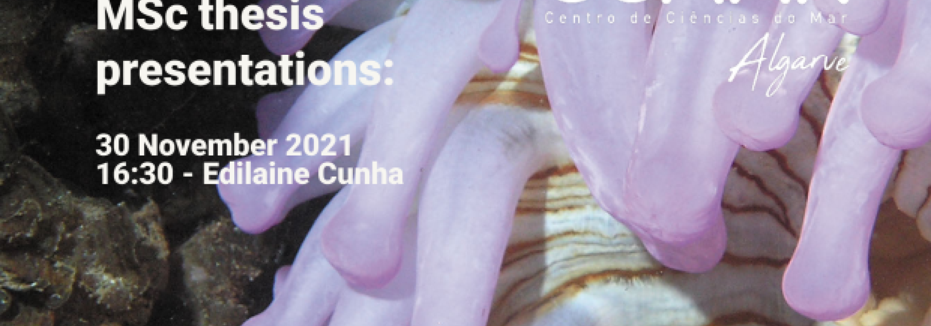 Generic representation of MSc Thesis Presentations