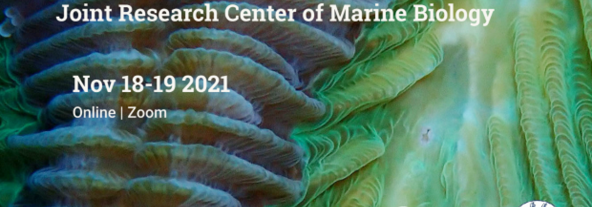 Generic representation of The 4th Annual Meeting of the International Joint Research Center of Marine Biology