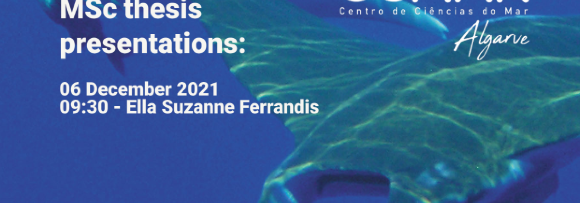 Generic representation of MSc Thesis Presentations