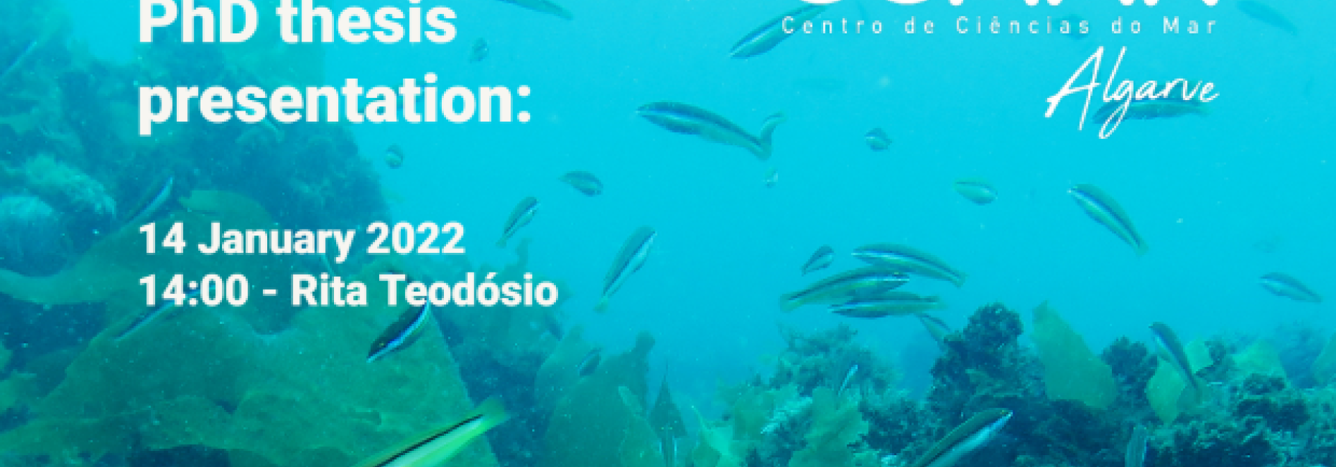 Generic representation of PhD Thesis Presentation