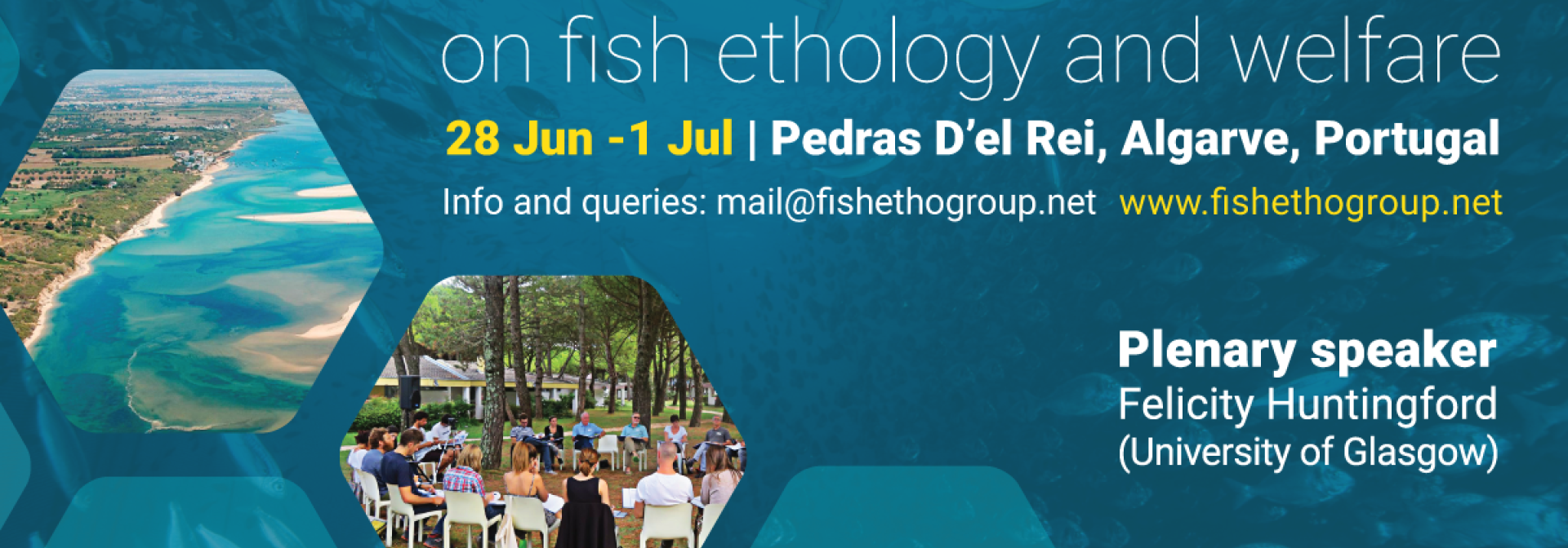 Generic representation of IV Fish Welfare Summer Shoal