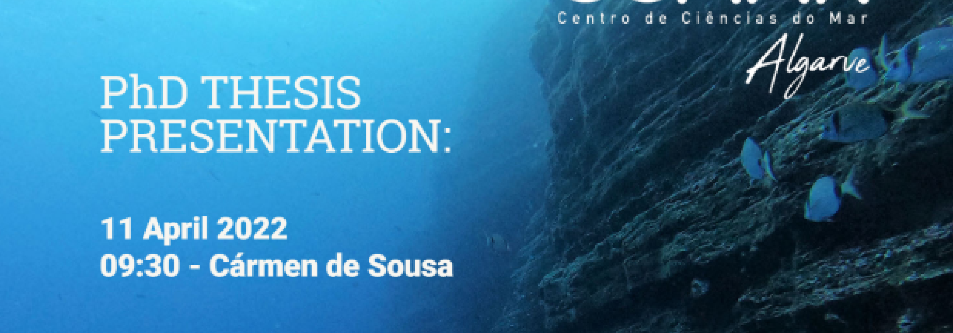 Generic representation of PhD Thesis Presentation